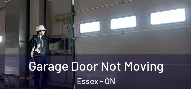  Garage Door Not Moving Essex - ON