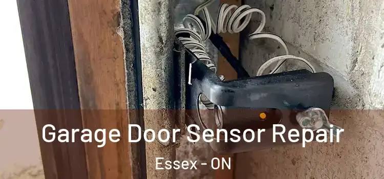 Garage Door Sensor Repair Essex - ON
