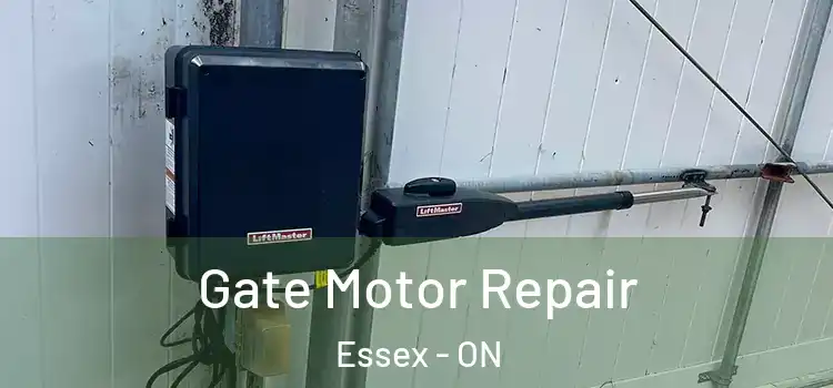  Gate Motor Repair Essex - ON