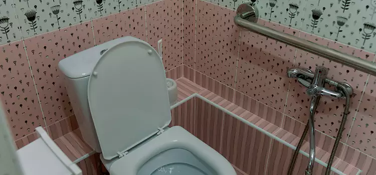 Meeting Diverse Needs With Accessible Restroom Solutions in Essex, ON