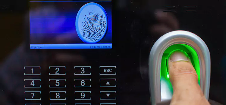 Your Trusted Partner for Secure Access in Essex, ON