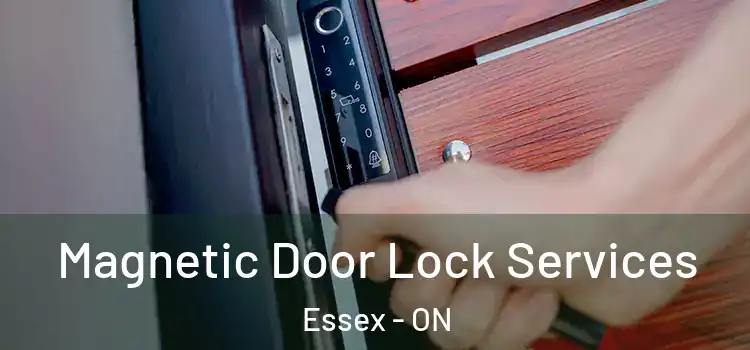 Magnetic Door Lock Services Essex - ON