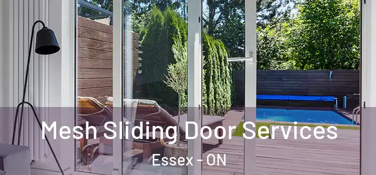Mesh Sliding Door Services Essex - ON