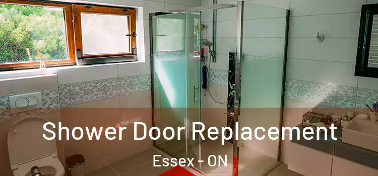 Shower Door Replacement Essex - ON